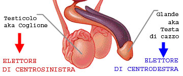 elezioni.jpg